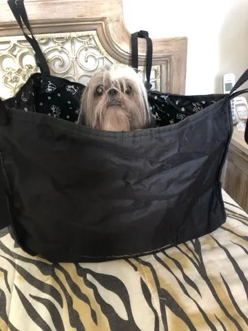 Cadeirinha automotiva para pets