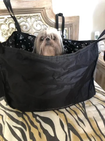 Cadeirinha automotiva para pets