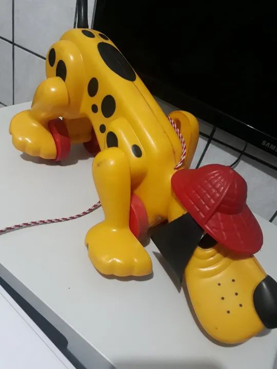 Cachorro xereta anos 80