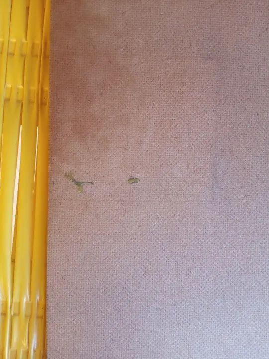 Kit 3 Pranchetas Acrimet - Foto 5
