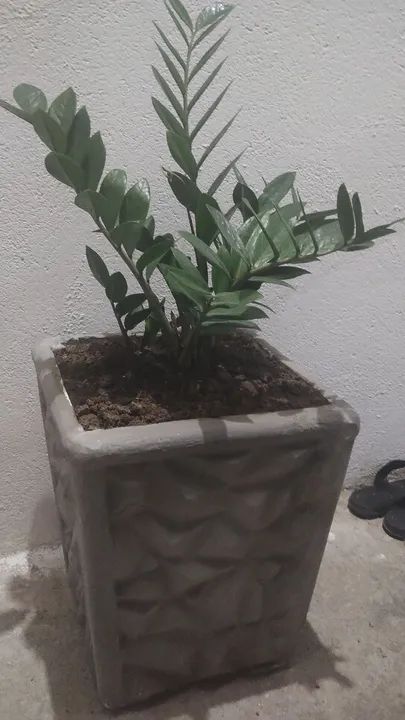 Jarro 3D64299972606467123