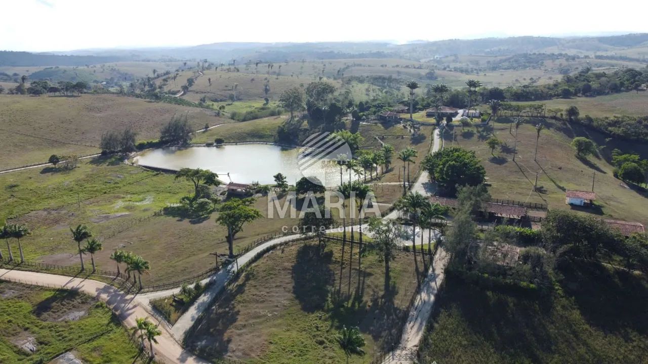 Fazenda à venda com 300 hectares com excelente acesso e uma extraordinária vista!! - Foto 10