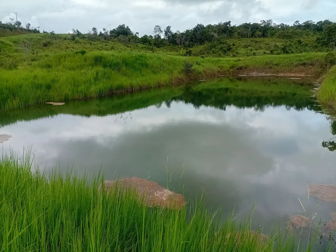 Sítio na BR 432 novo paraíso,vende-se ou troca numa casa em Boa Vista ou Rorainopolis