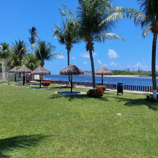 São João em Barra De Jacuipe Linha Verde