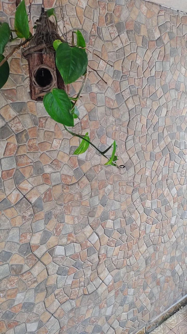 Piso e revestimento - Foto 2