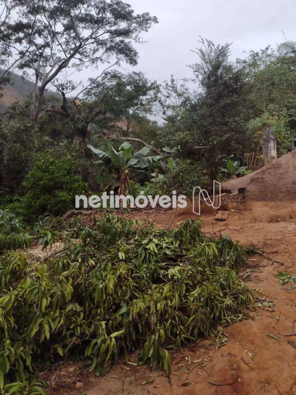 Venda Sítio Zona Rural Antônio Dias - Foto 3