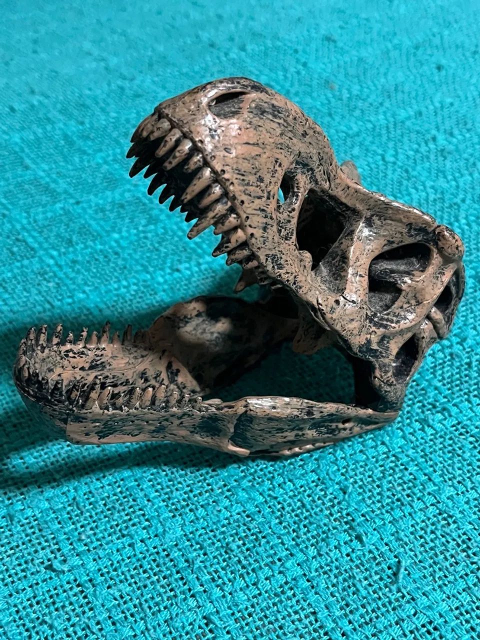 Jurassic Park Crânio T-Rex