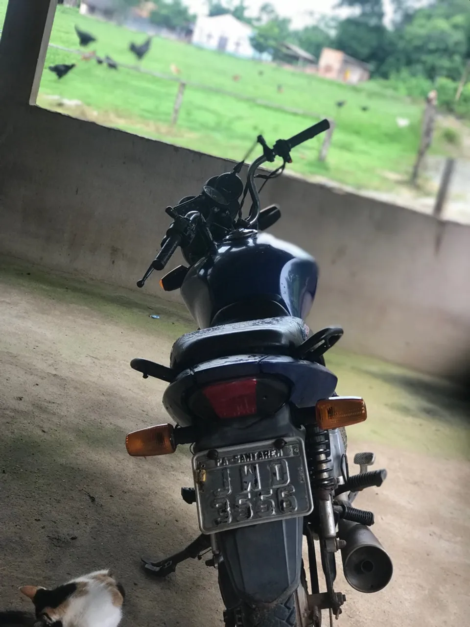 Fan 125 2009