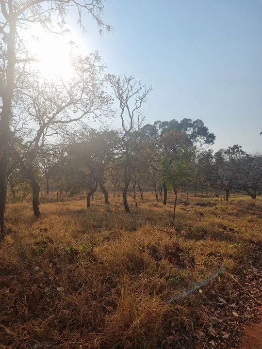 Lotes 300m² 10 minutos do centro - Foto 2