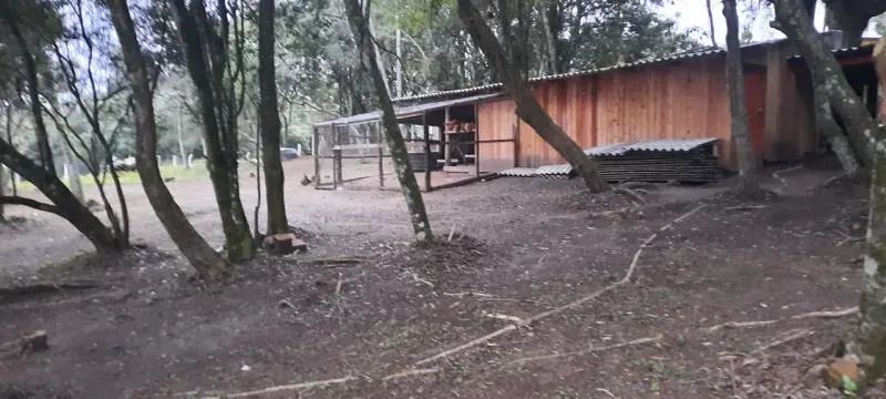 Velleda oferece magnífico sítio com açude próximo ao centro de Viamão - Foto 14