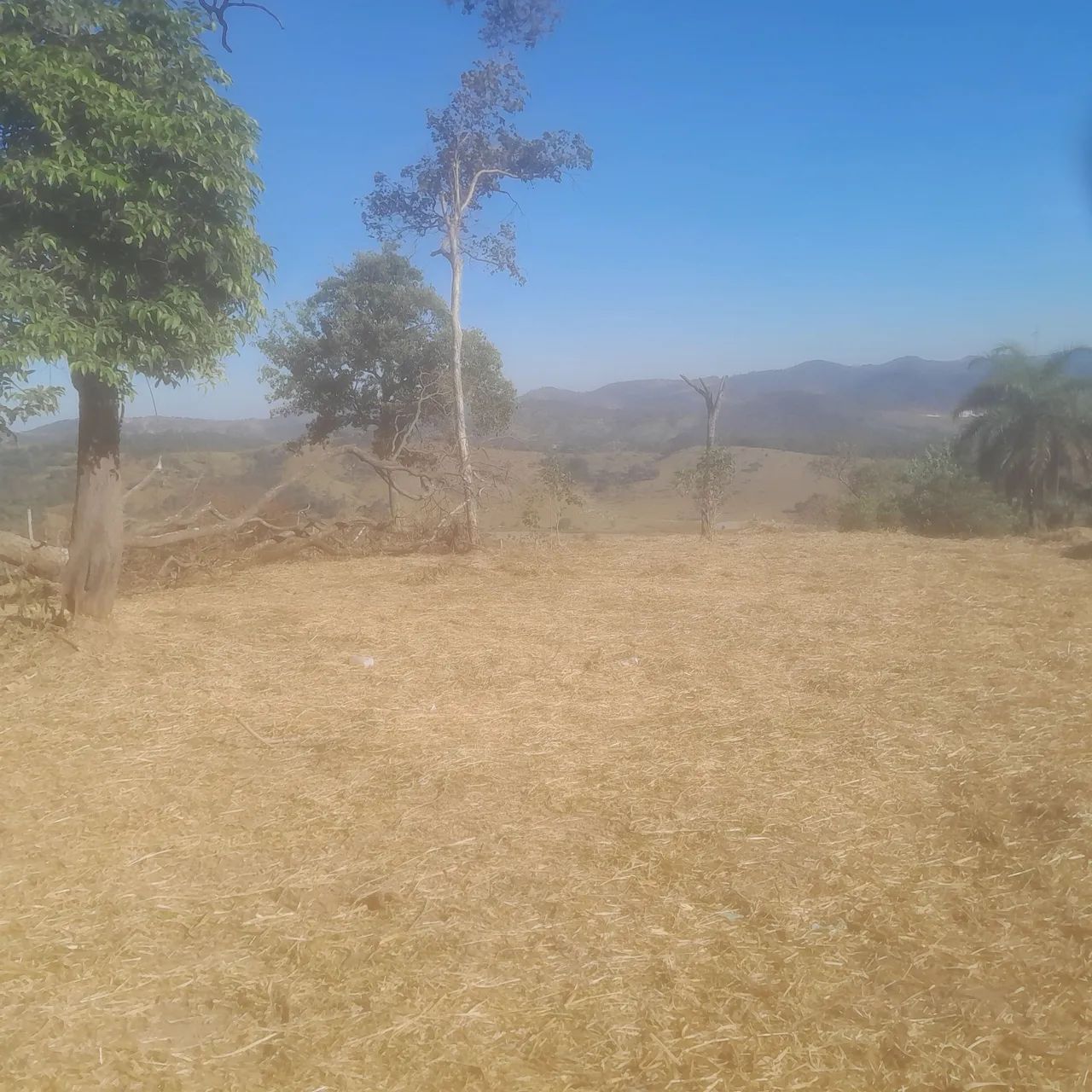Terreno de 5 mil metros  - Foto 4