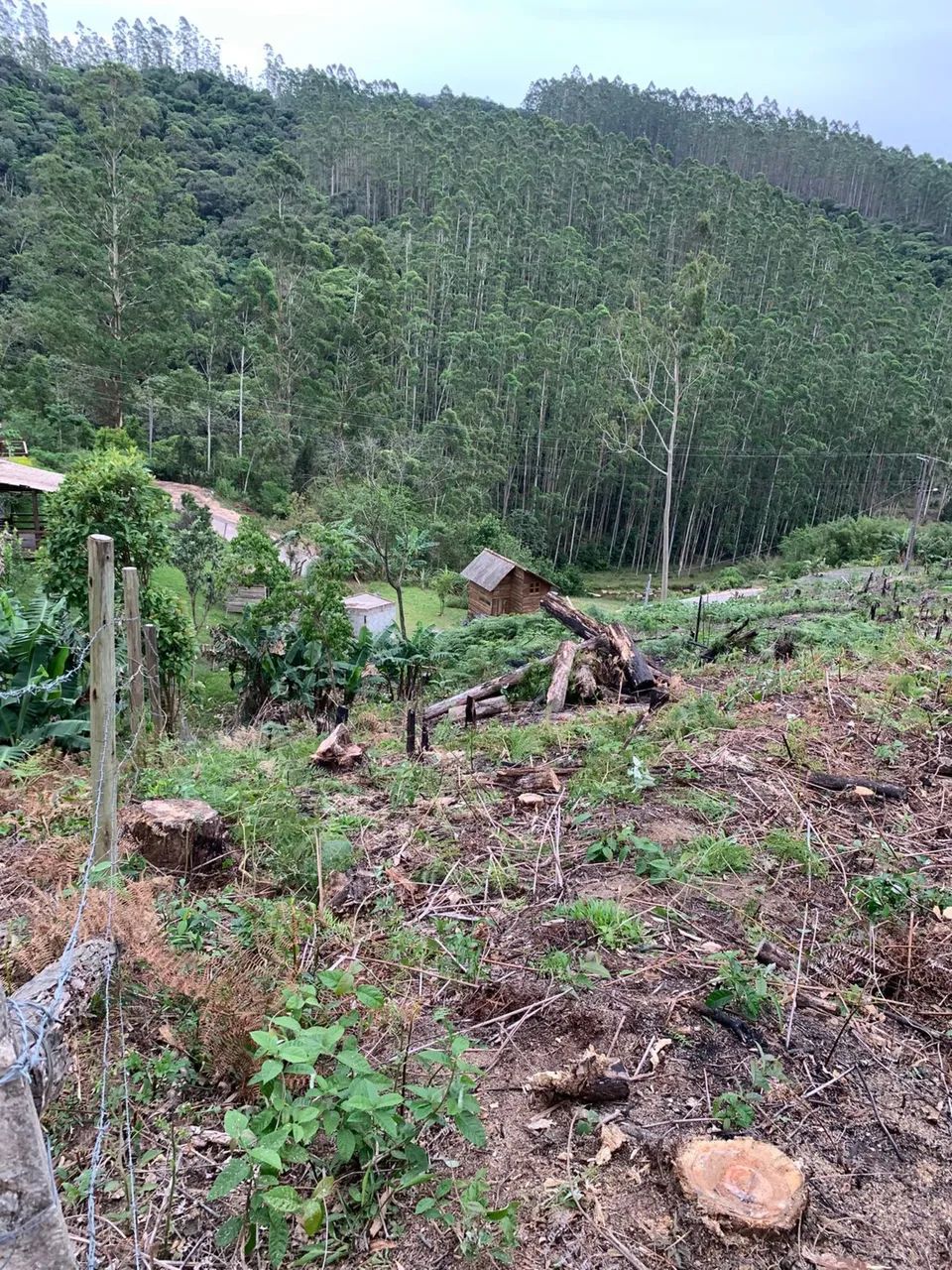 Foto - Águas Mornas - Fazenda do Sacramento