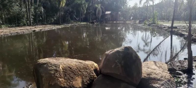 Velleda oferece magnífico sítio com açude próximo ao centro de Viamão - Foto 10