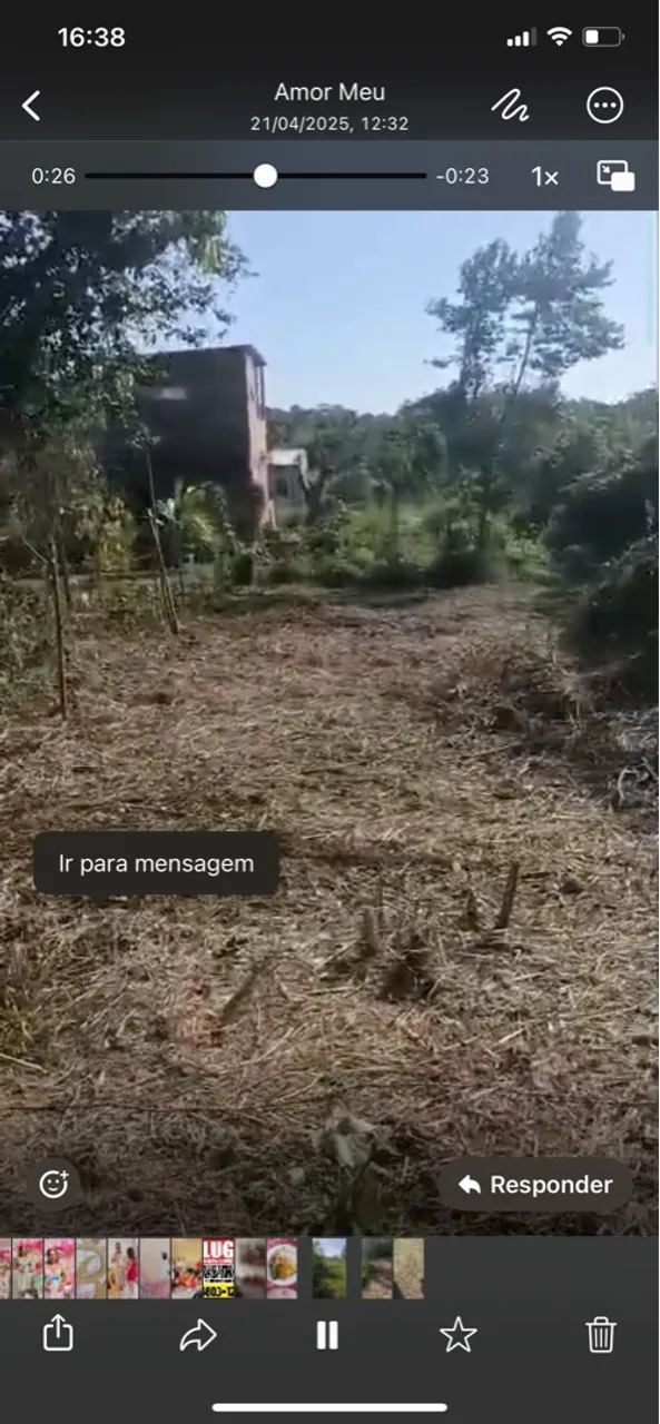 Terreno na ilha  - Foto 2