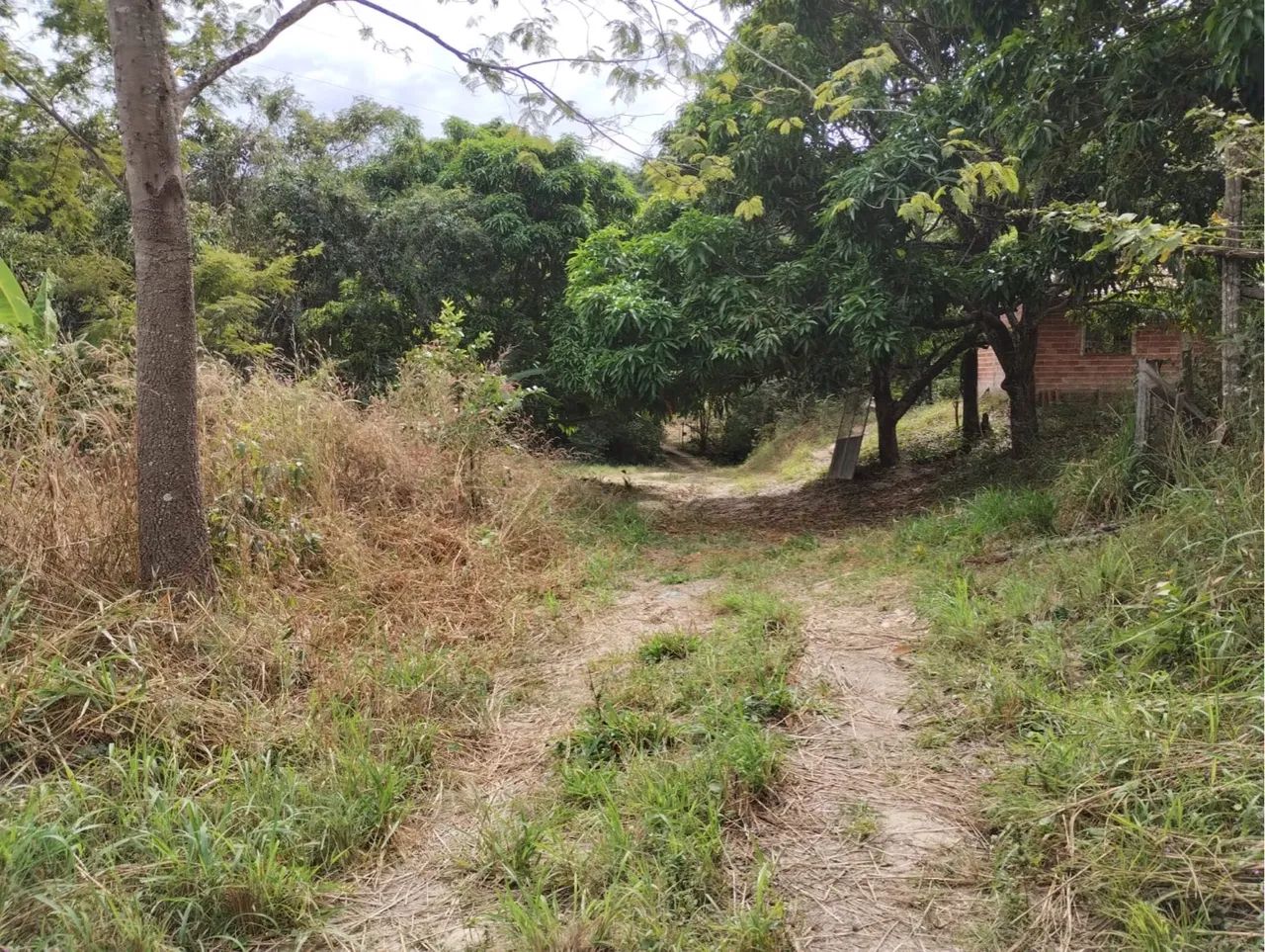 Chácara em Aragoiania 1 alqueire  - Foto 9