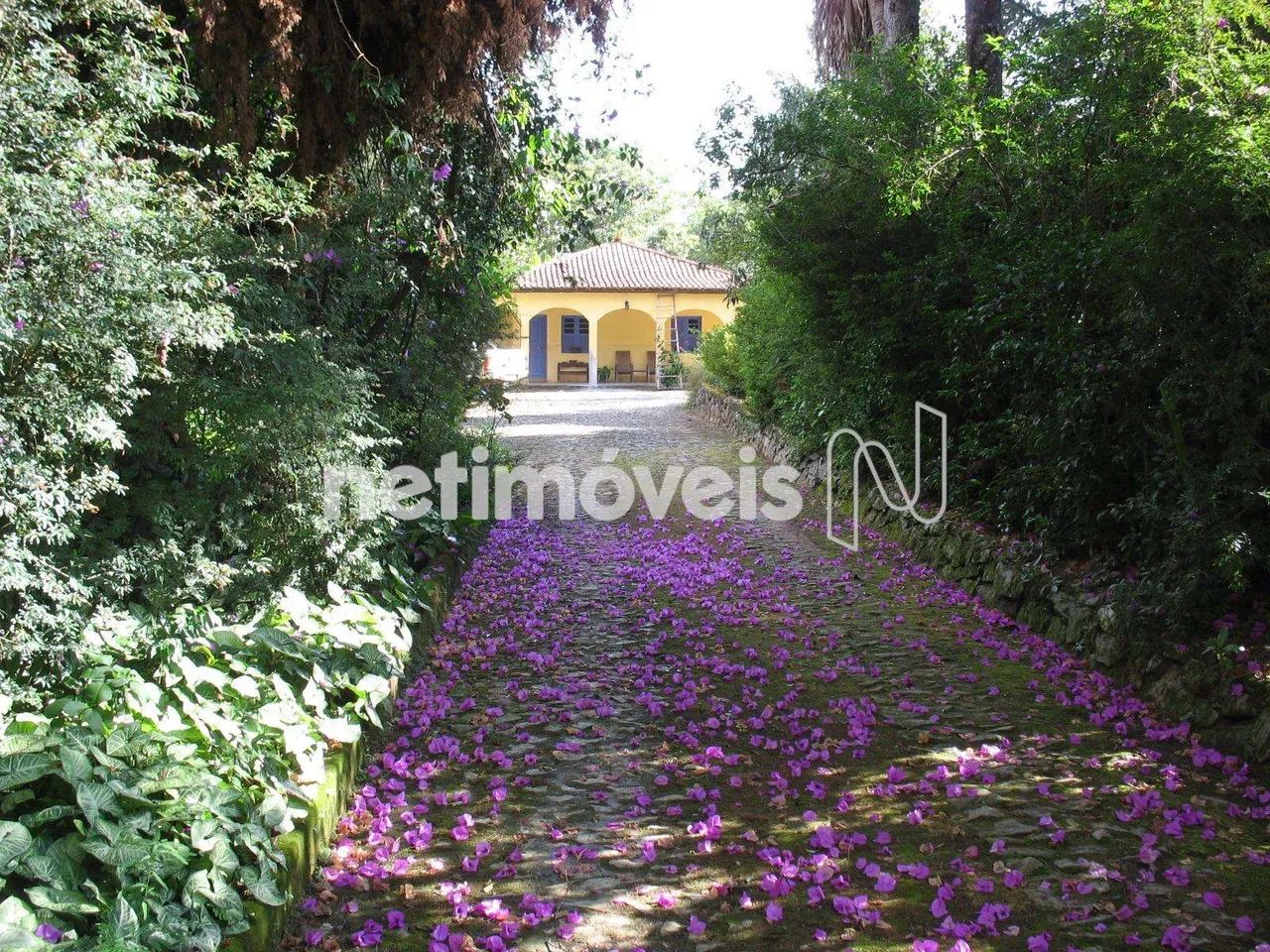 Chácaras à venda em Queluzito! - Foto 4