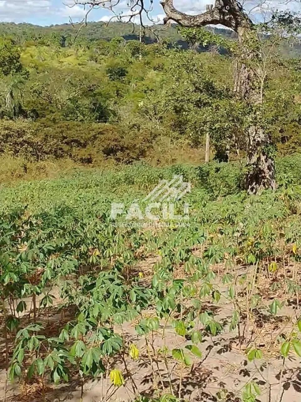 Chácara 7 Hectares com Córrego, Piscina e Vista para o Lago | Próximo a Palmas - Foto 4