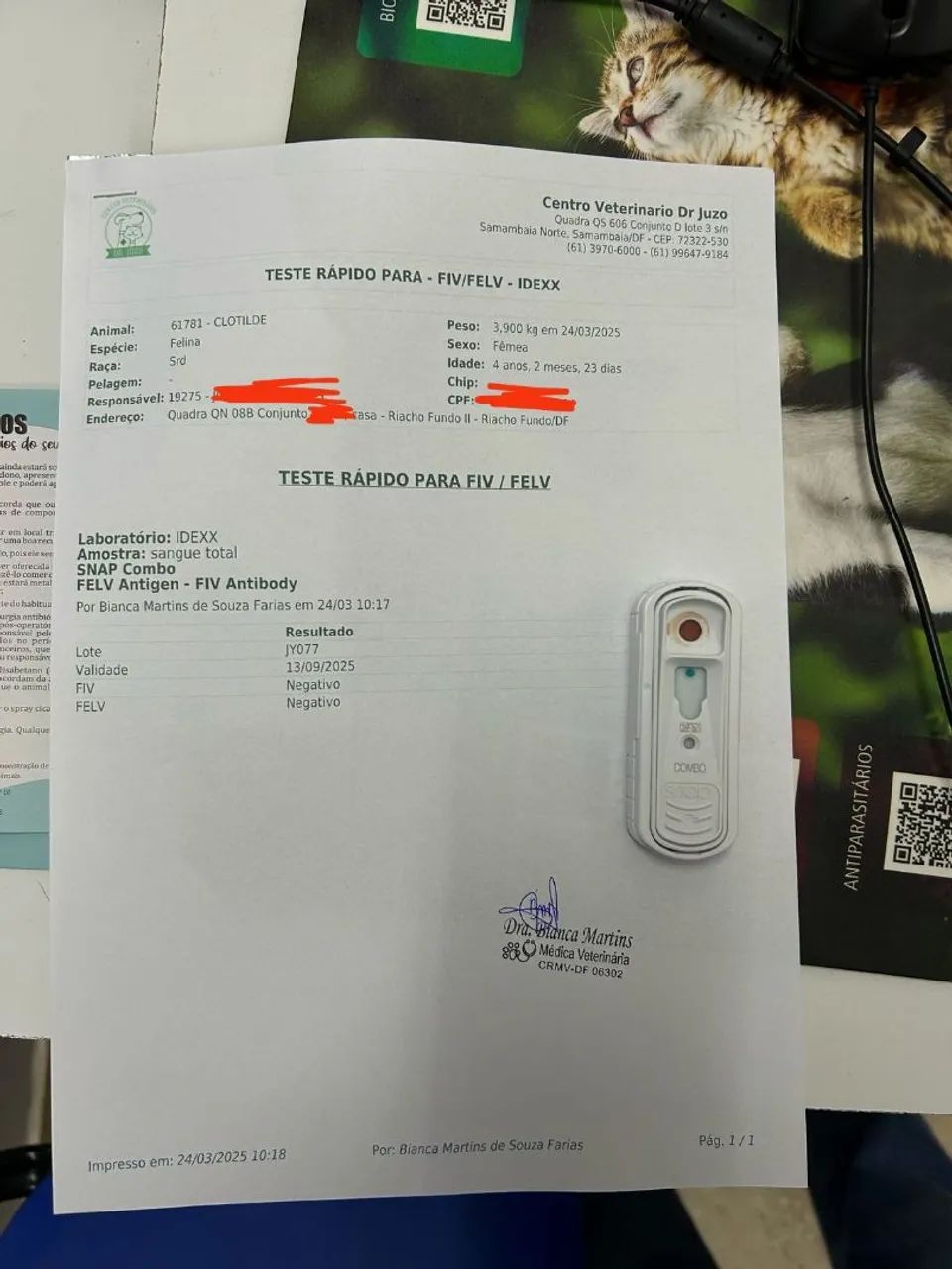 Gatinha disponível para adoção - Foto 4