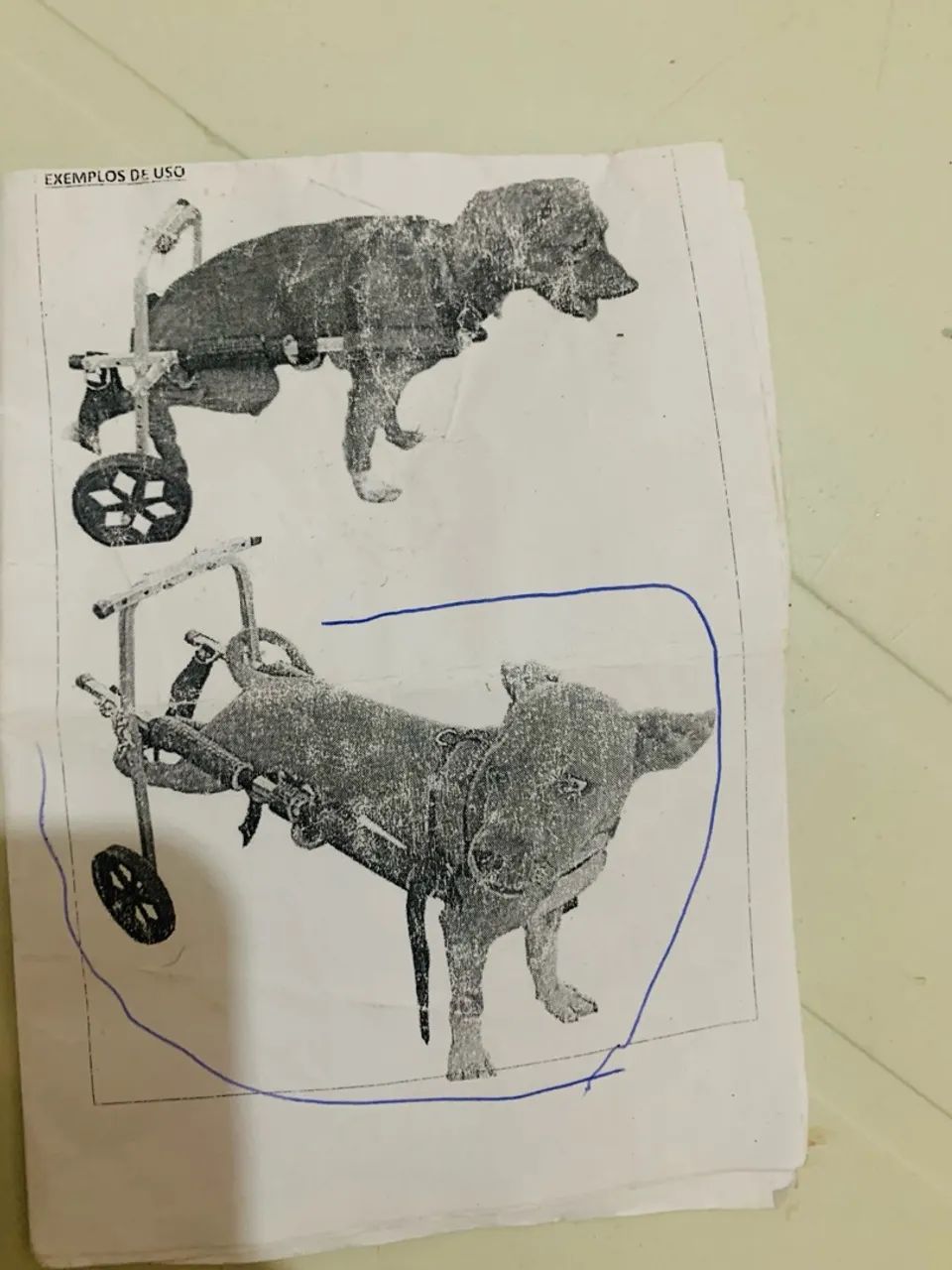 Carrinho de Transporte para Cães - Foto 3