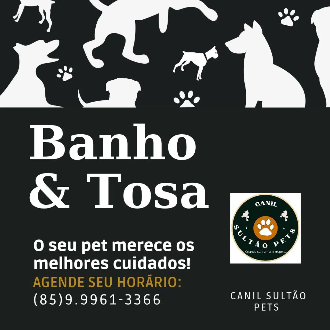 Canil Sultão Pets - Filhotes de Poodle - Foto 6