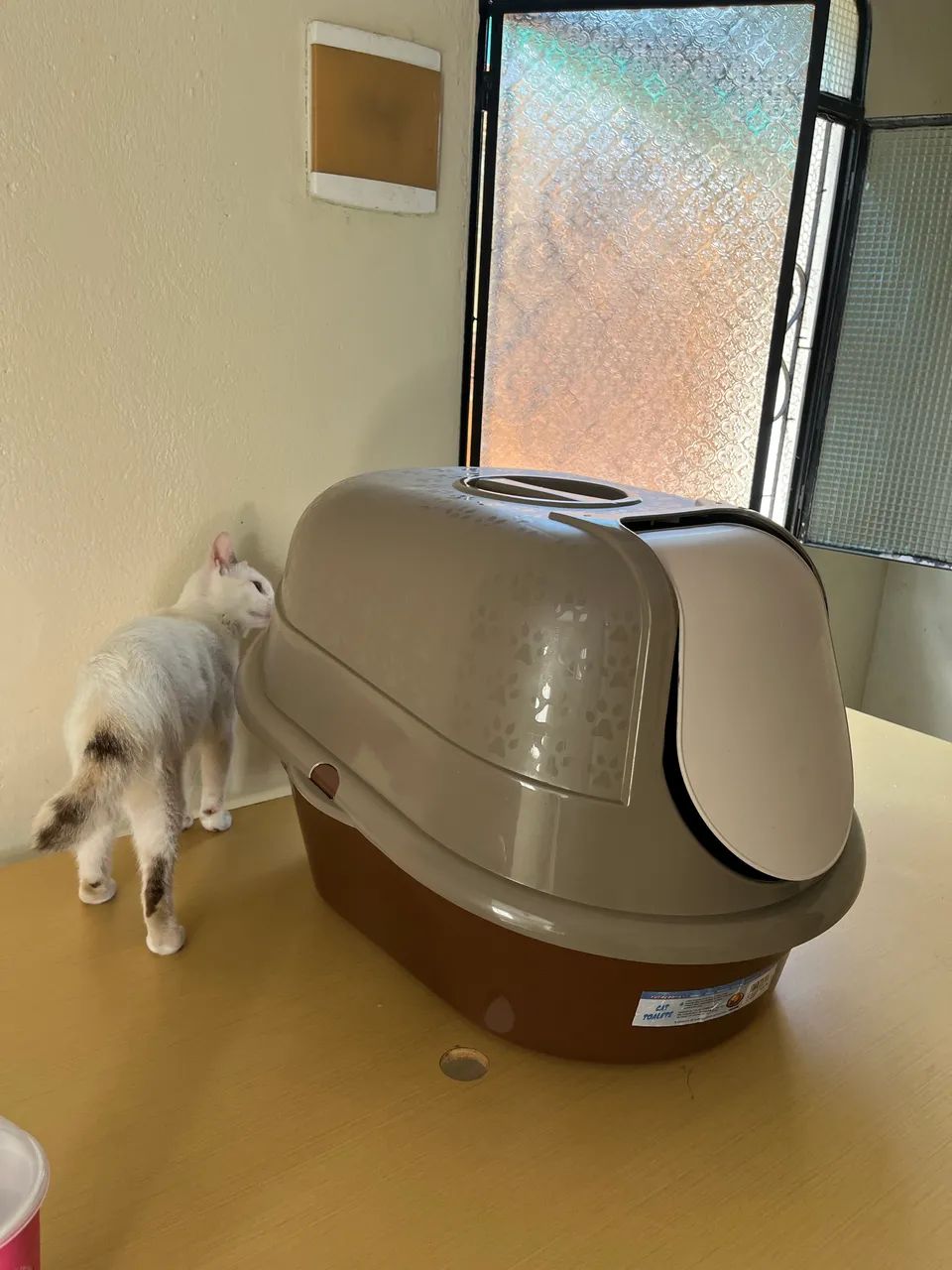 Toalete/banheiro para gatos  - Foto 4