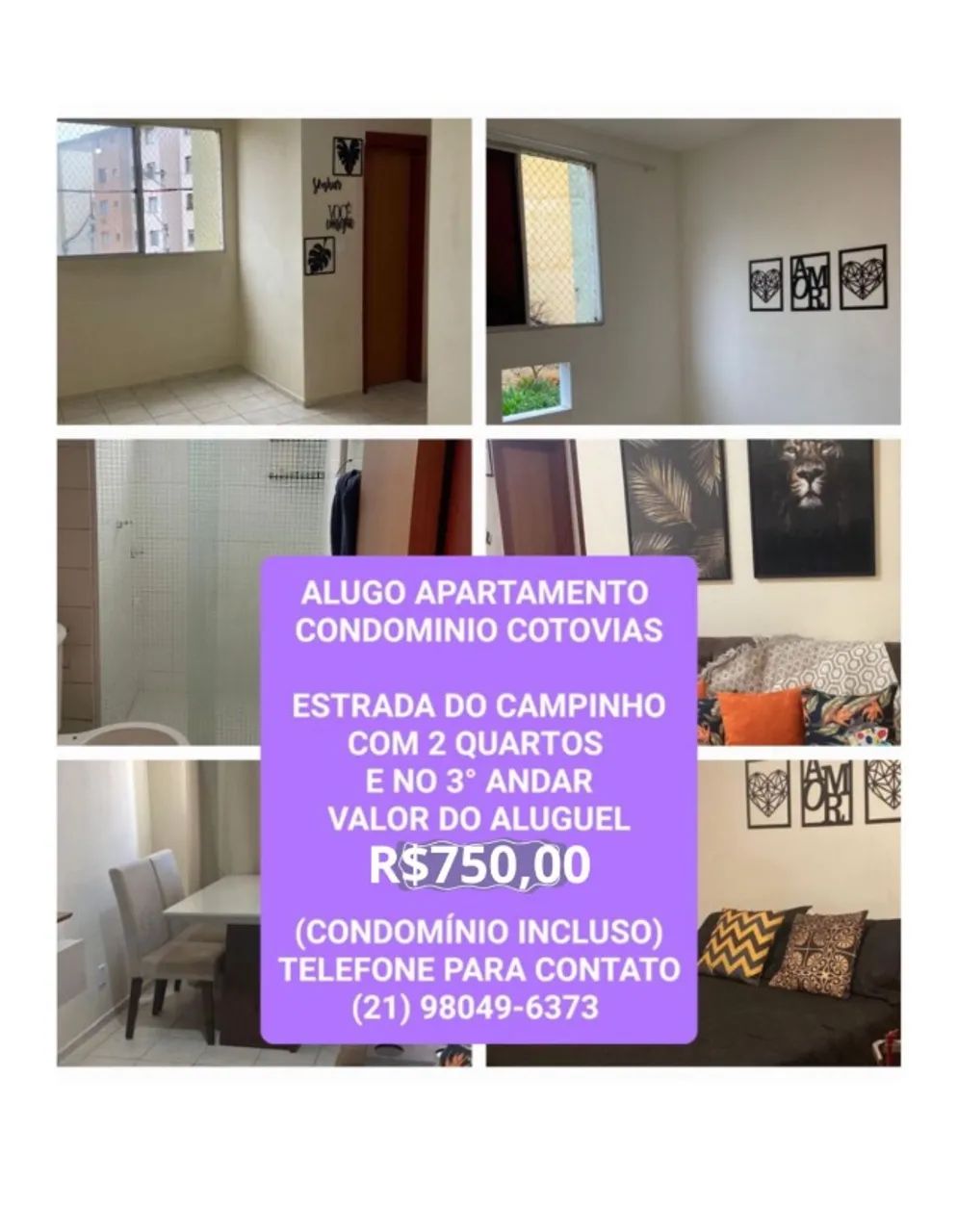 Foto - Rio de Janeiro - Paciência
