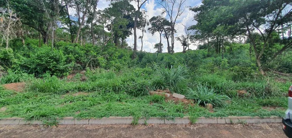 Chácara com 1.500m² próximo a Nerópolis - Foto 5