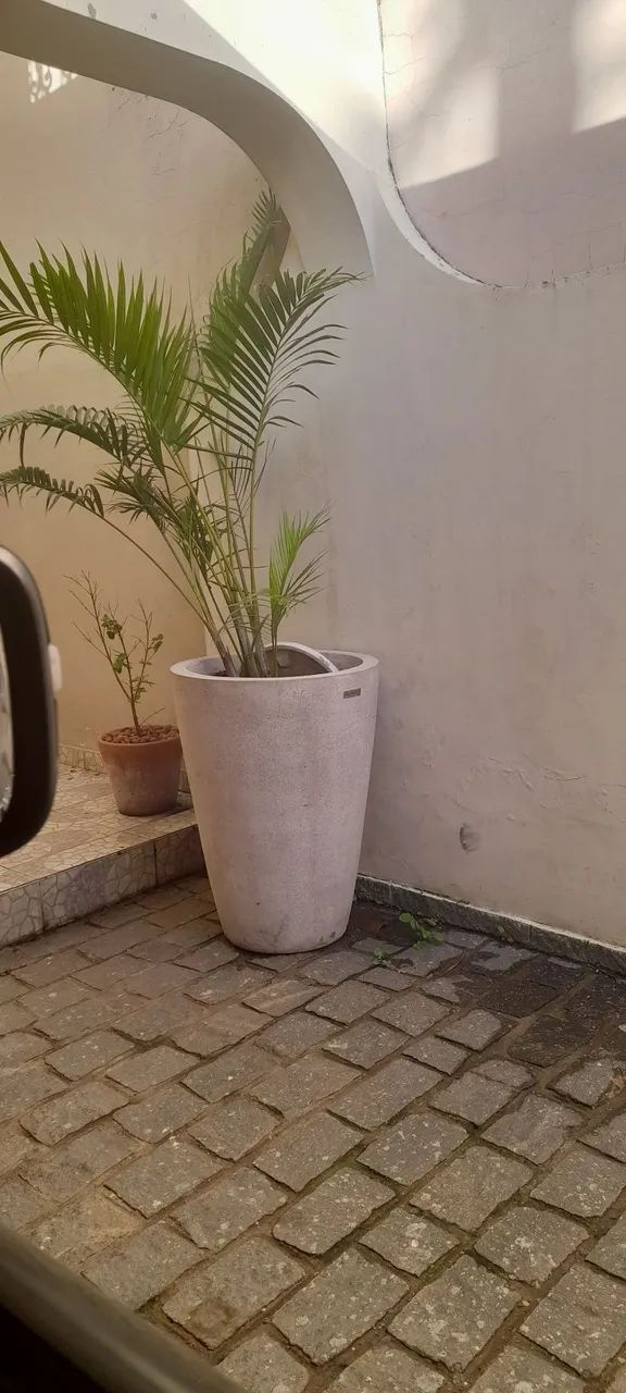 Vaso de Concreto - Foto 4
