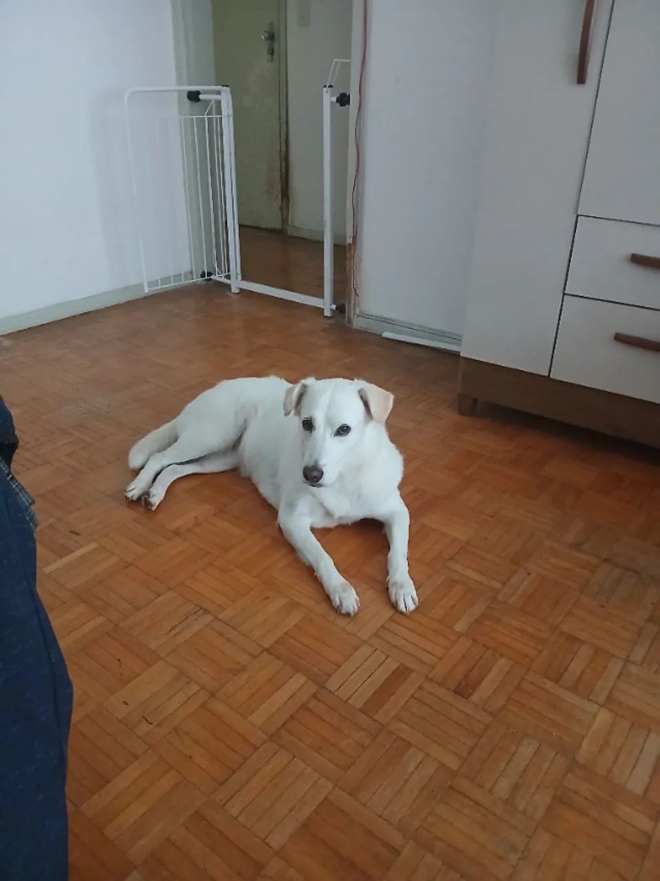 Doação  - Foto 3