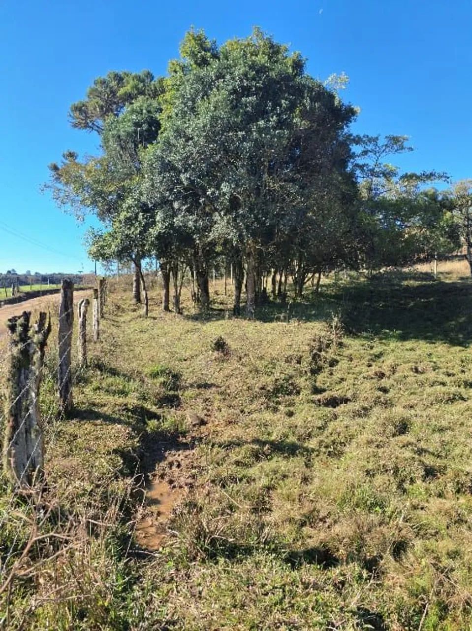 Terreno em Alfredo Wagner 
