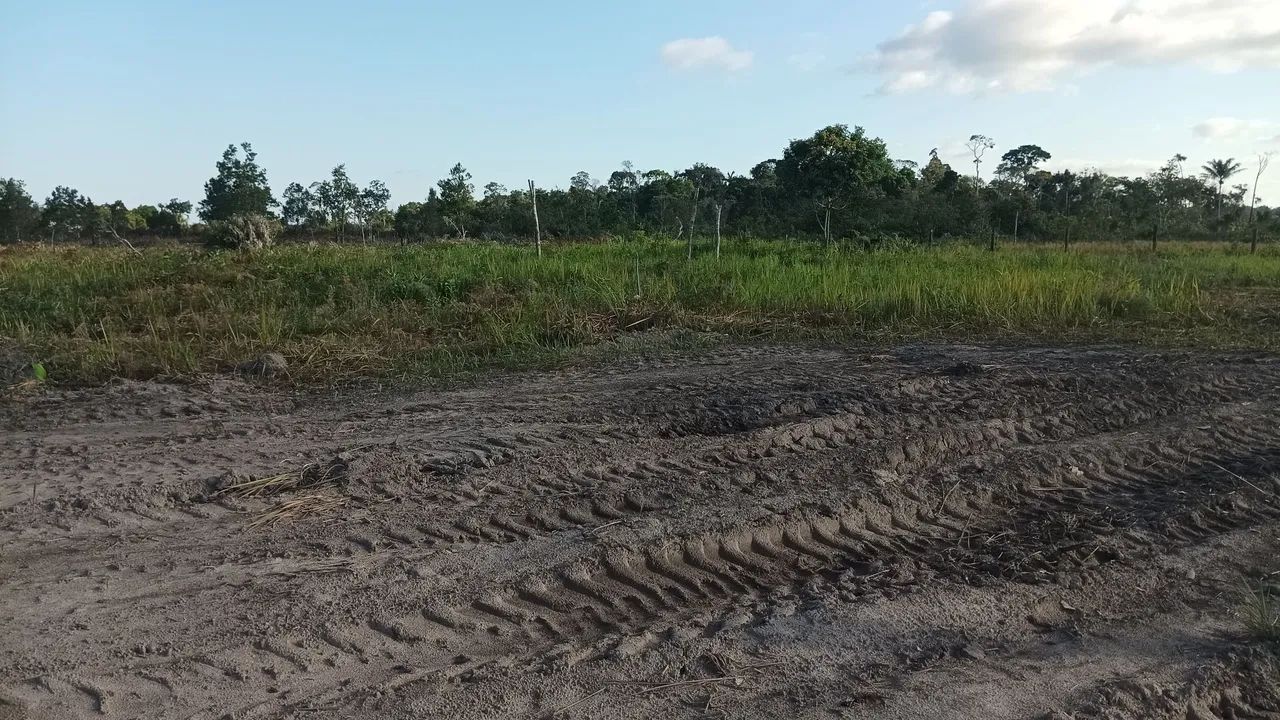 Chácara  - Foto 5