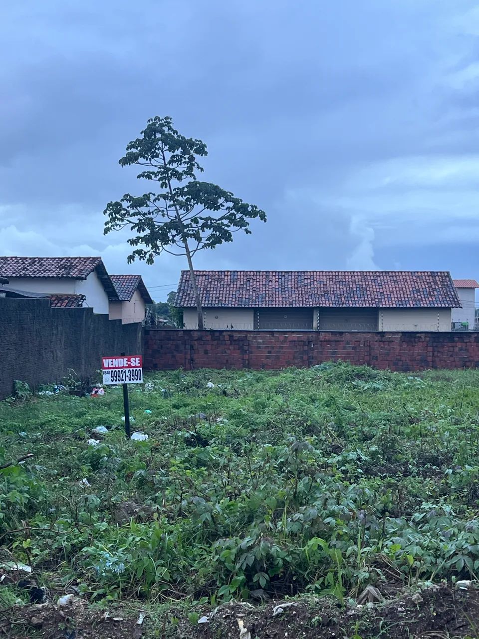 Terreno São Gonçalo do Amarante  - Foto 3