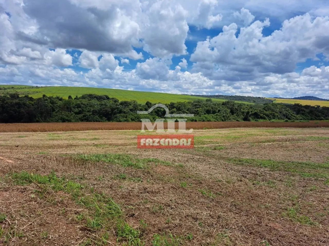 Fazenda 33,5 alqueires (161 hectares) Ipameri - GO - Foto 4