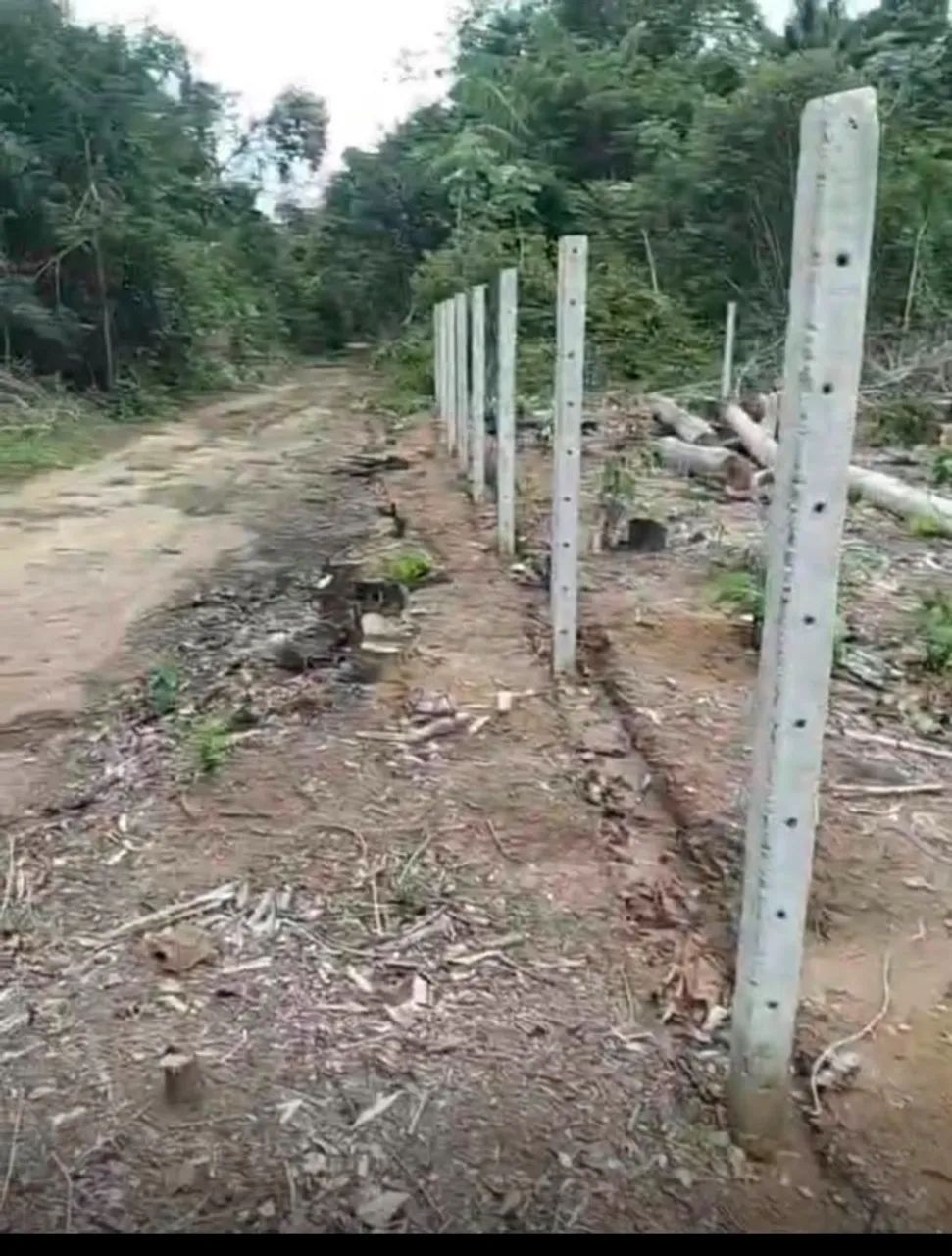 Vendo Lote de Terreno no Ramal da Cacheira do Castanho (390m²) - Foto 2