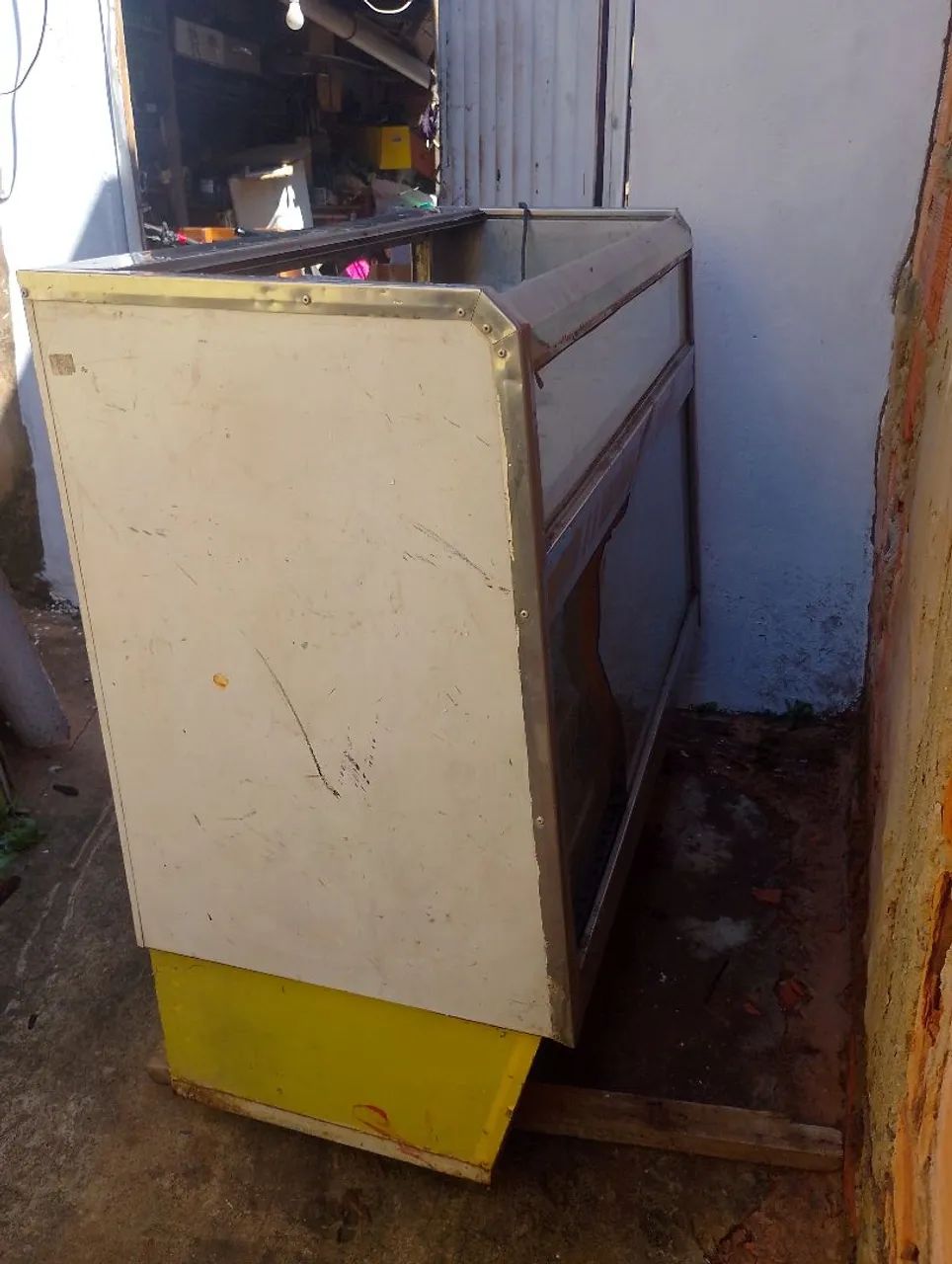 Frizer expositor 