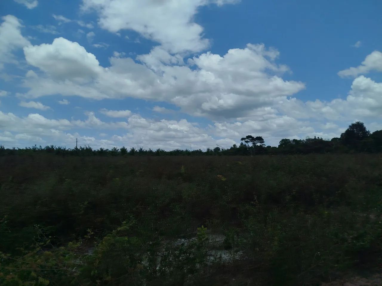 Sitio Rural  - Foto 3
