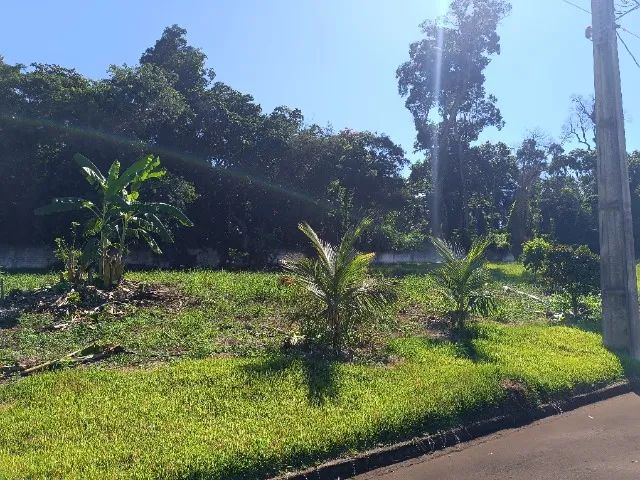 TERRENO PRÓXIMO AO RIO IVAÍ -FLORESTA PR