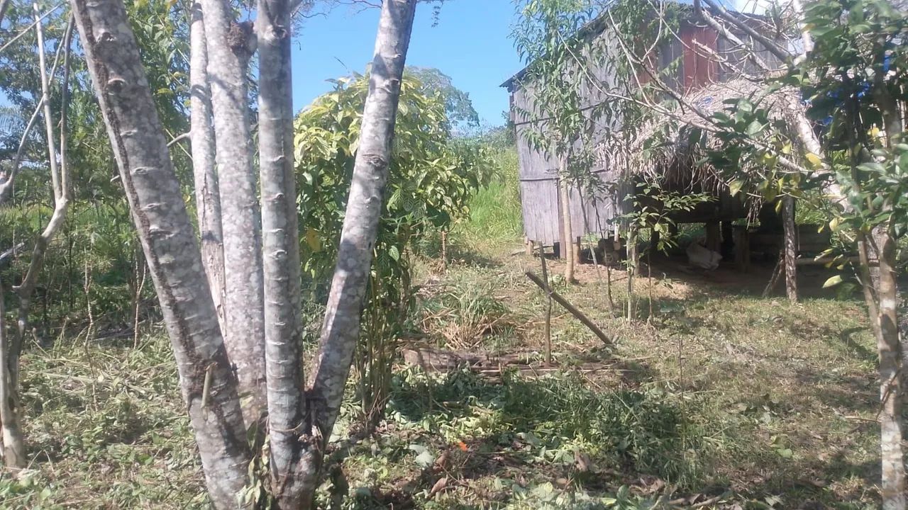 Vende - se uma área de terra com aproximadamente 100 hectares de terra - Foto 5