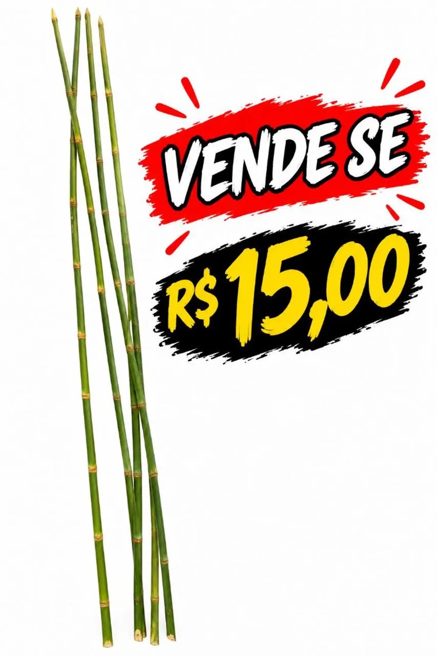 vara de pescar 