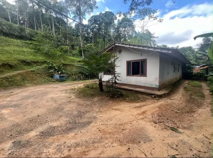 *Vendo chácara em Santa Isabel - Foto 3