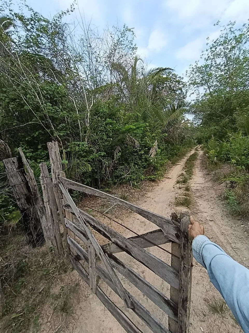Foto - Teresina - Parque Piauí