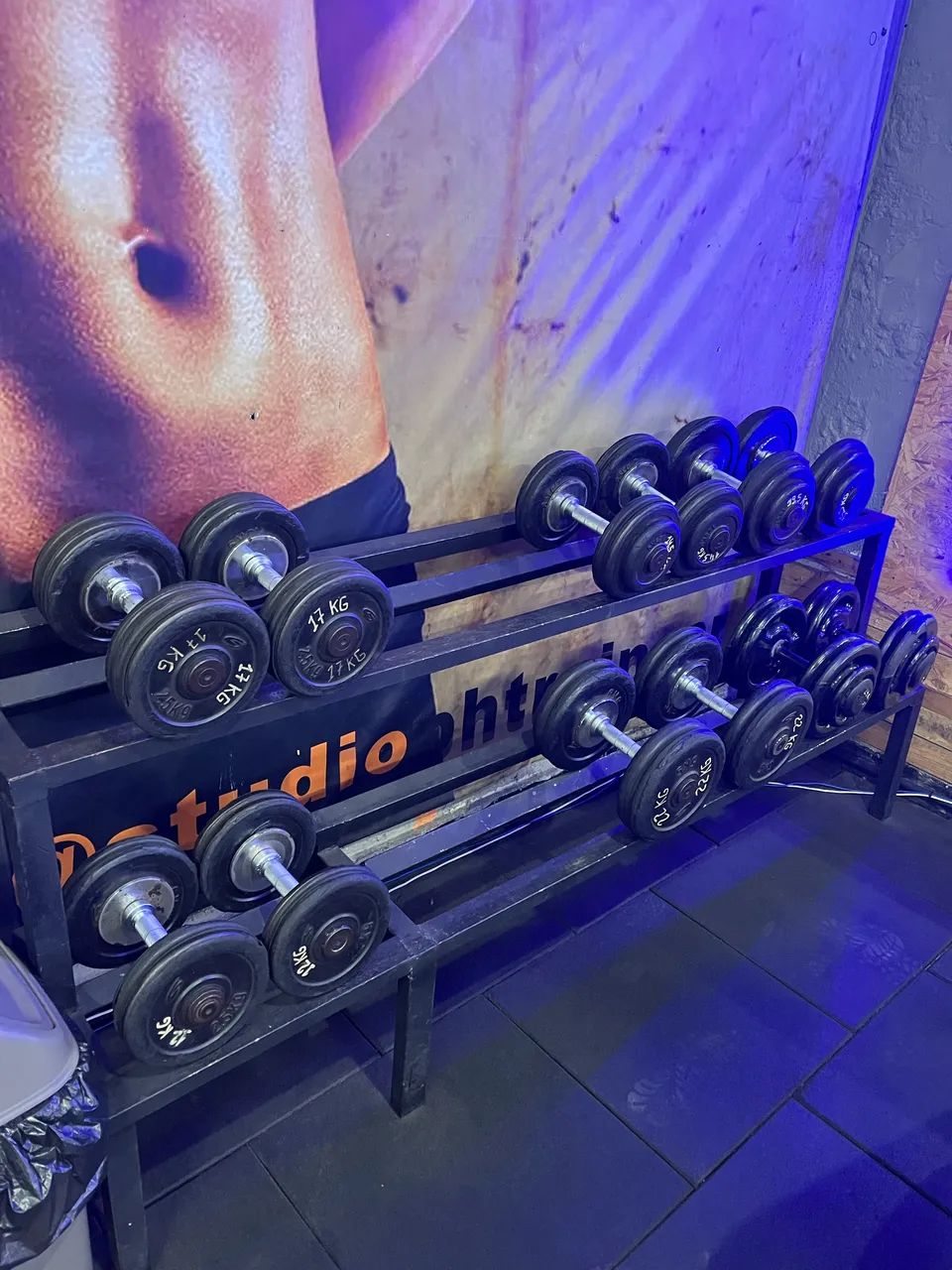 Dumbells 12 a 24kg + suporte 