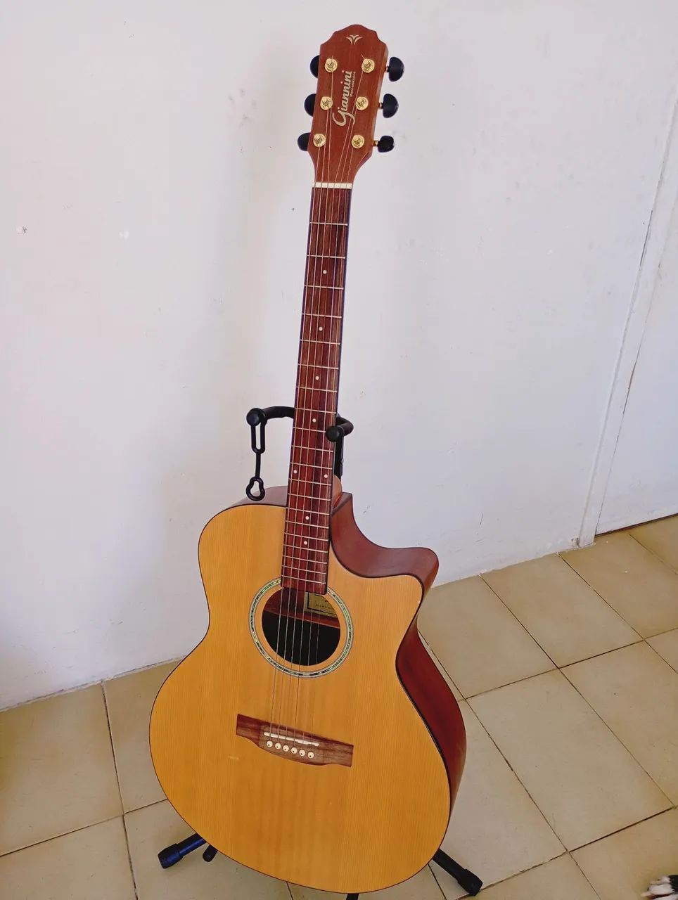 Giannini performance Folk 