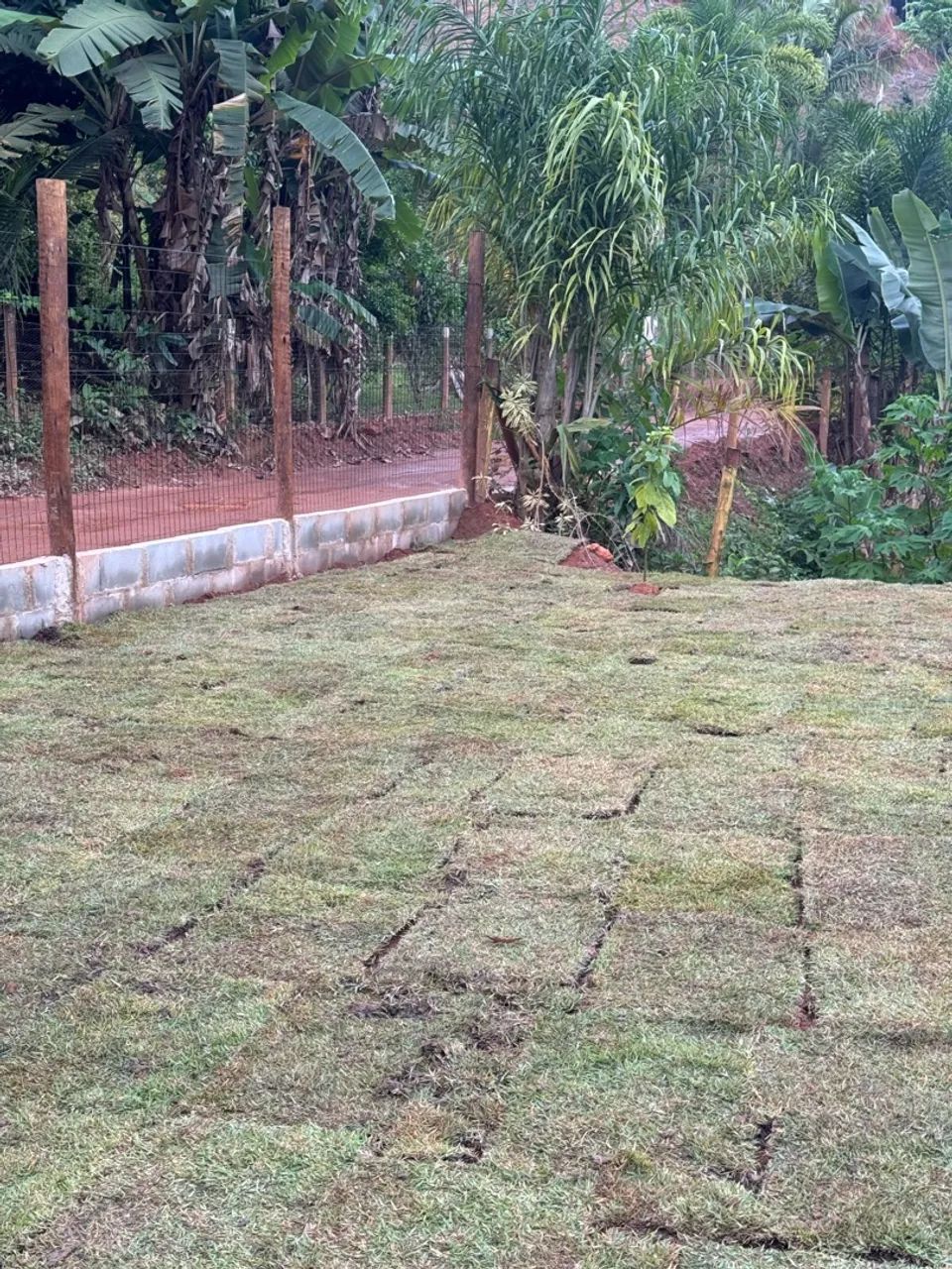 Sítio em Santa Leopoldina ( com corgo ) - Foto 4