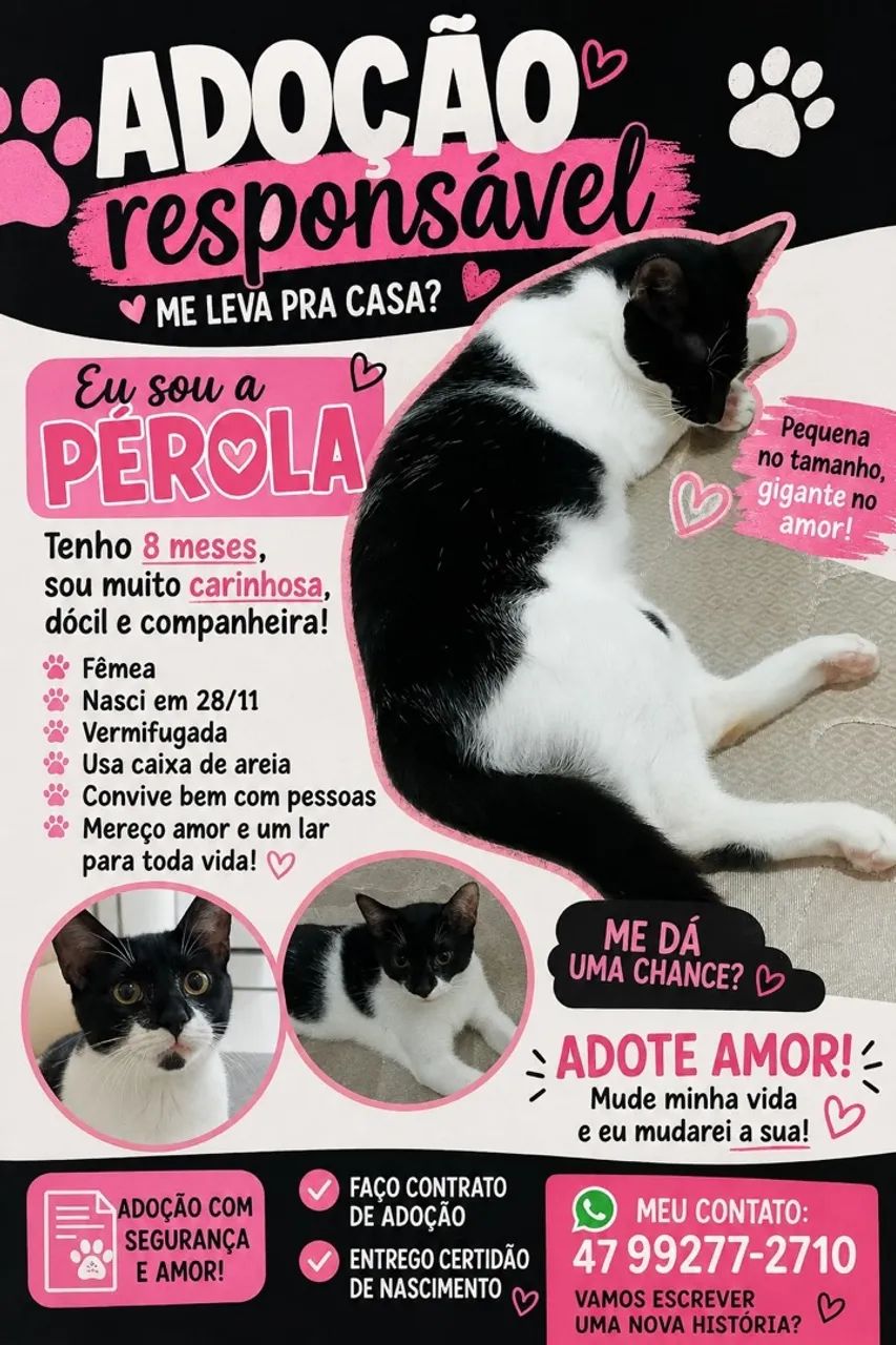 Gatos para doação  - Foto 4