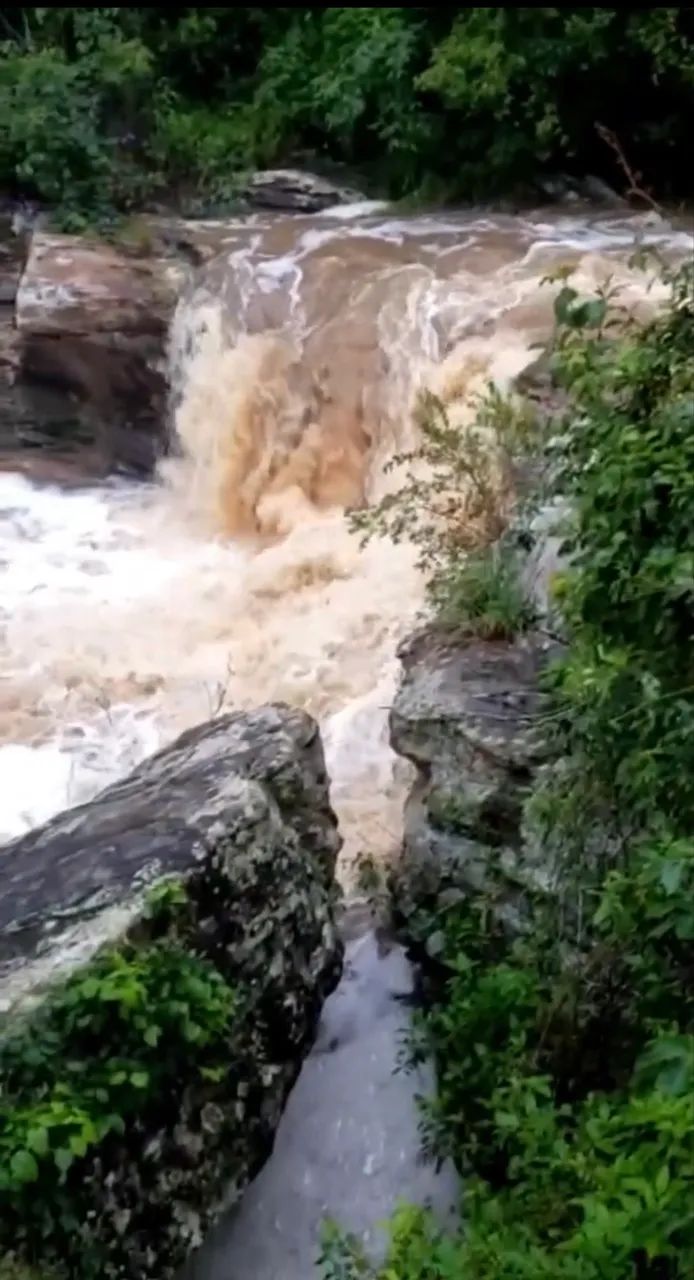 Fazenda 44ha com Cachoeira - Foto 5