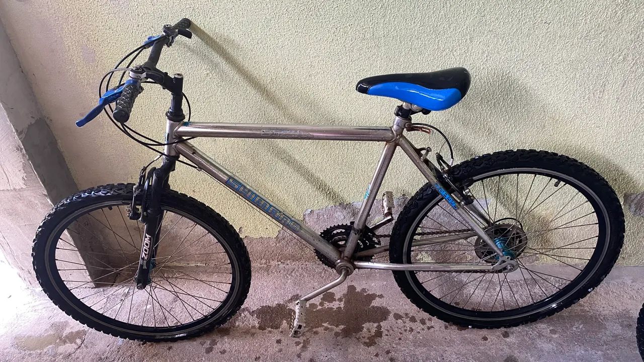 Bicicleta