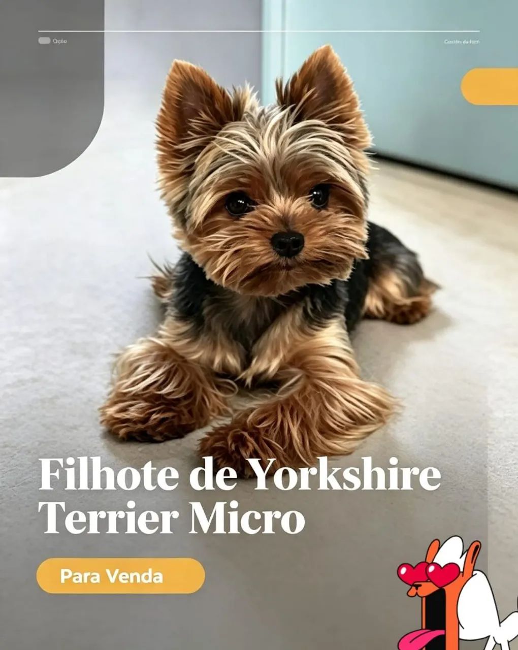 Yorkshire micro