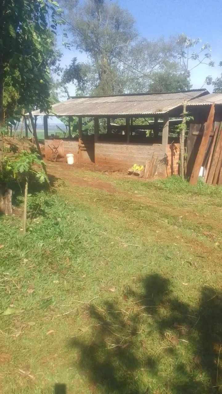 Sitio a venda  - Foto 4