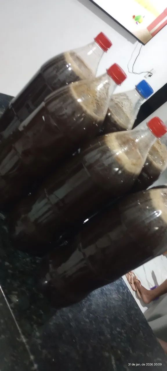 Vendo Mel ? 100% Original nativo ... - Foto 5